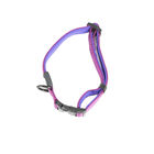 TK-Pet Neo Classic Collar de Nylon Morado para perros, , large image number null